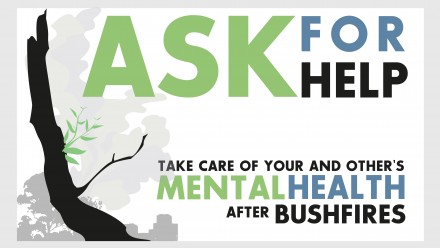 Mental health after bushfires factsheet