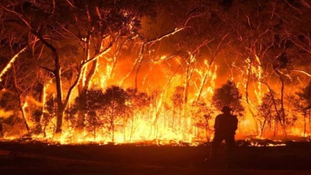 Image of firefighter in front of a wall of flame