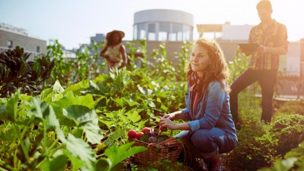 Gardening