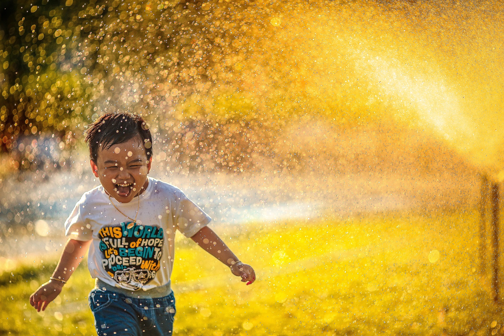Photo: MI PHAN, Unsplash