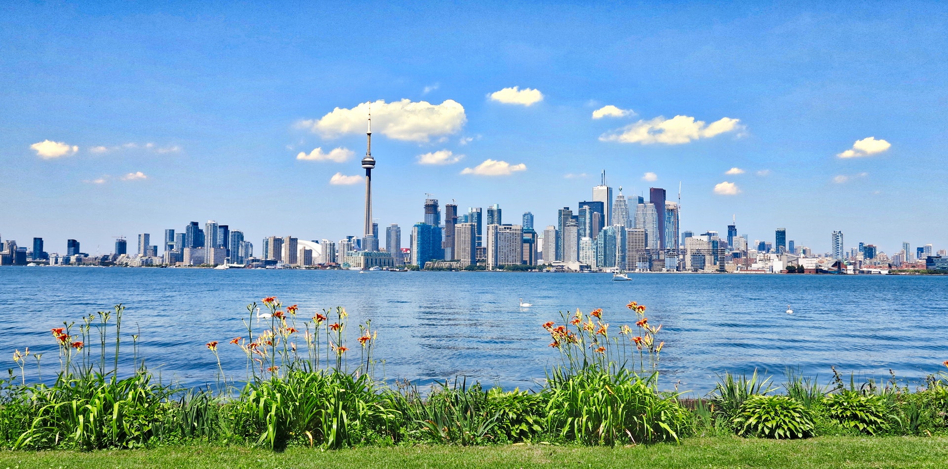 A scenic view of a city skyline featuring modern high-rise buildings and a tall tower, with a foreground of bright flowers and a large body of water.