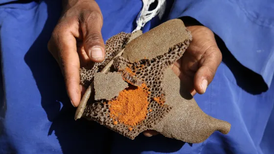 The geographic, socioeconomic and demographic determinants and consequences in Ethiopia