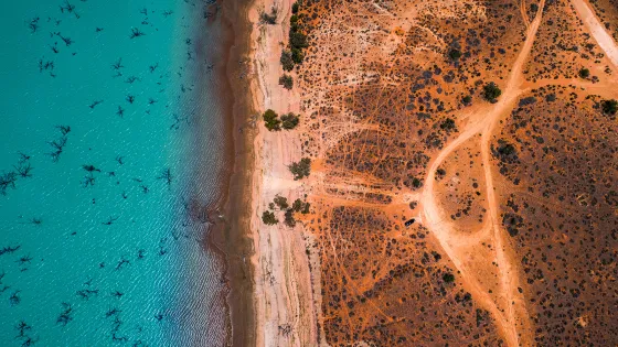 Aerial view of a vibrant turquoise shoreline adjacent to a dry, orange land dotted with dirt roads and sparse vegetation.