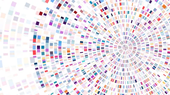 Genome sequence map