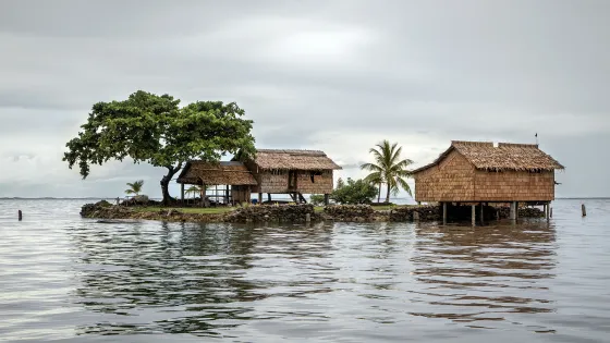 Three rustic stilt houses surrounded by water with a large tree and palm trees on a small island under a cloudy sky.