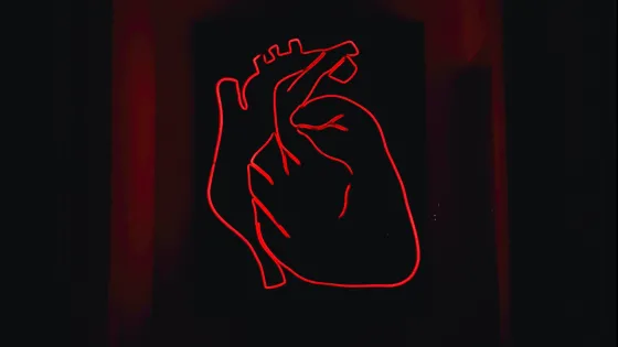 A glowing red neon outline of a human heart on a dark background.