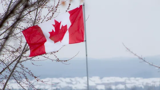 A Canadian flag flutters on a pole against a backdrop of a snowy landscape and cloudy skies.