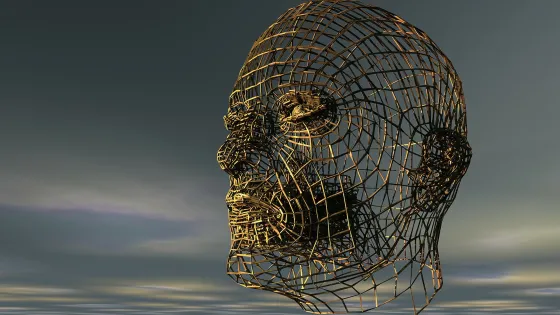 A digital image of a 3D wireframe model of a human head against a soft, cloudy sky.