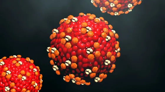 Three-dimensional illustration of spherical virus-like particles with spiky protrusions, colored in shades of red and orange, against a dark background.