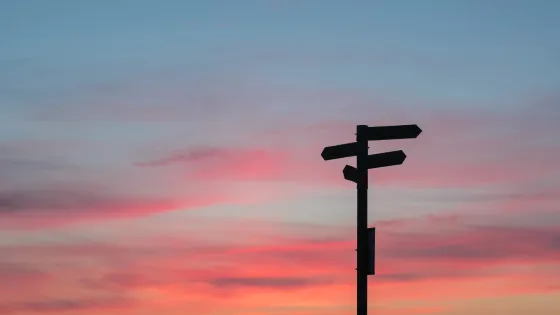 A silhouette of a directional signpost against a sunset sky with pink and blue hues.