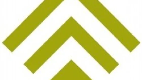Logo consisting of three green chevrons pointing upward with a green square below, centered on a white background.