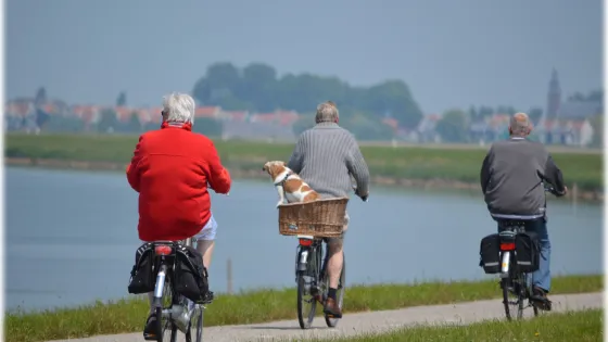 Three elderly individuals riding bicycles along a scenic coastal path, one with a dog in a front basket.