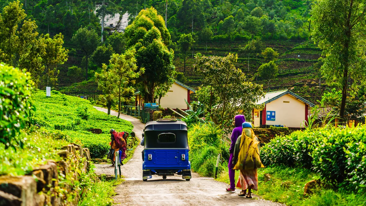A small blue vehicle drives through a vibrant green tea plantation lined with lush trees and scattered houses, with people walking alongside the road.