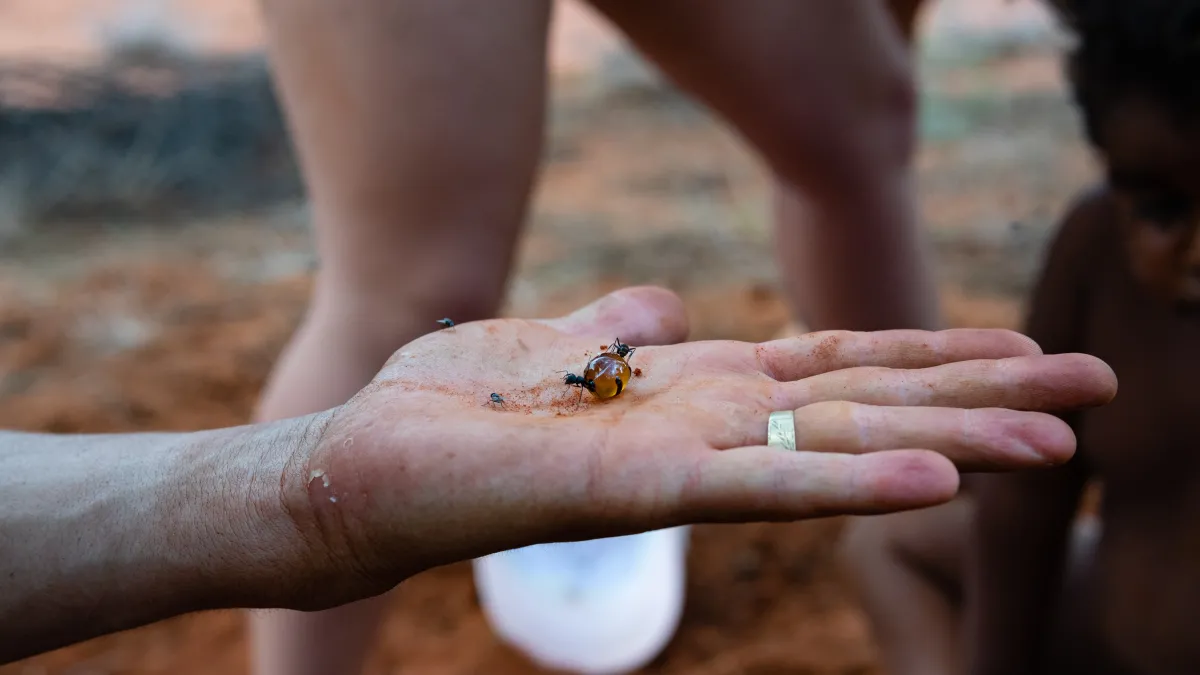 A child holds a ladybug on their dirt-covered palm while another child watches.