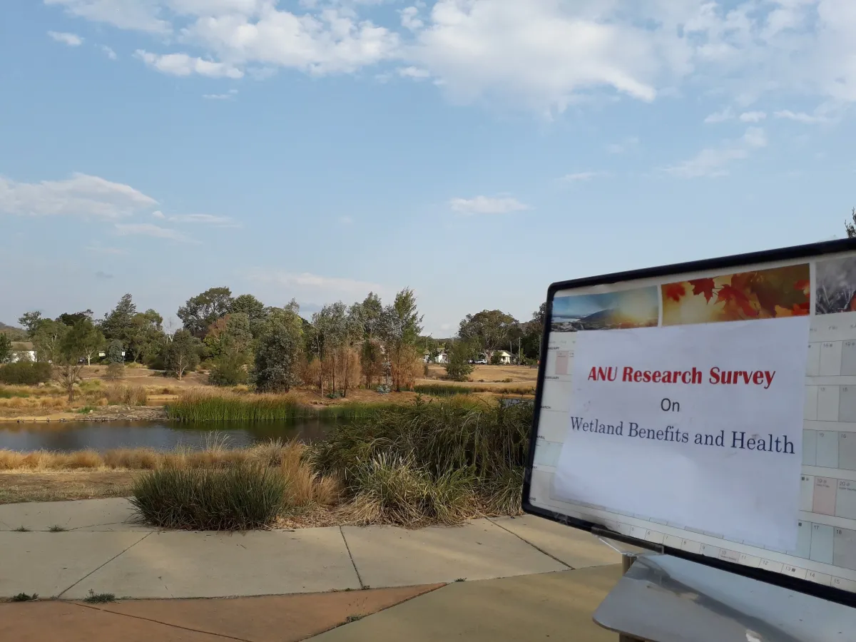 A computer monitor displayed outdoors showing a document titled &quot;ANU Research Survey on Wetland Benefits and Health&quot; with a scenic wetland in the background.