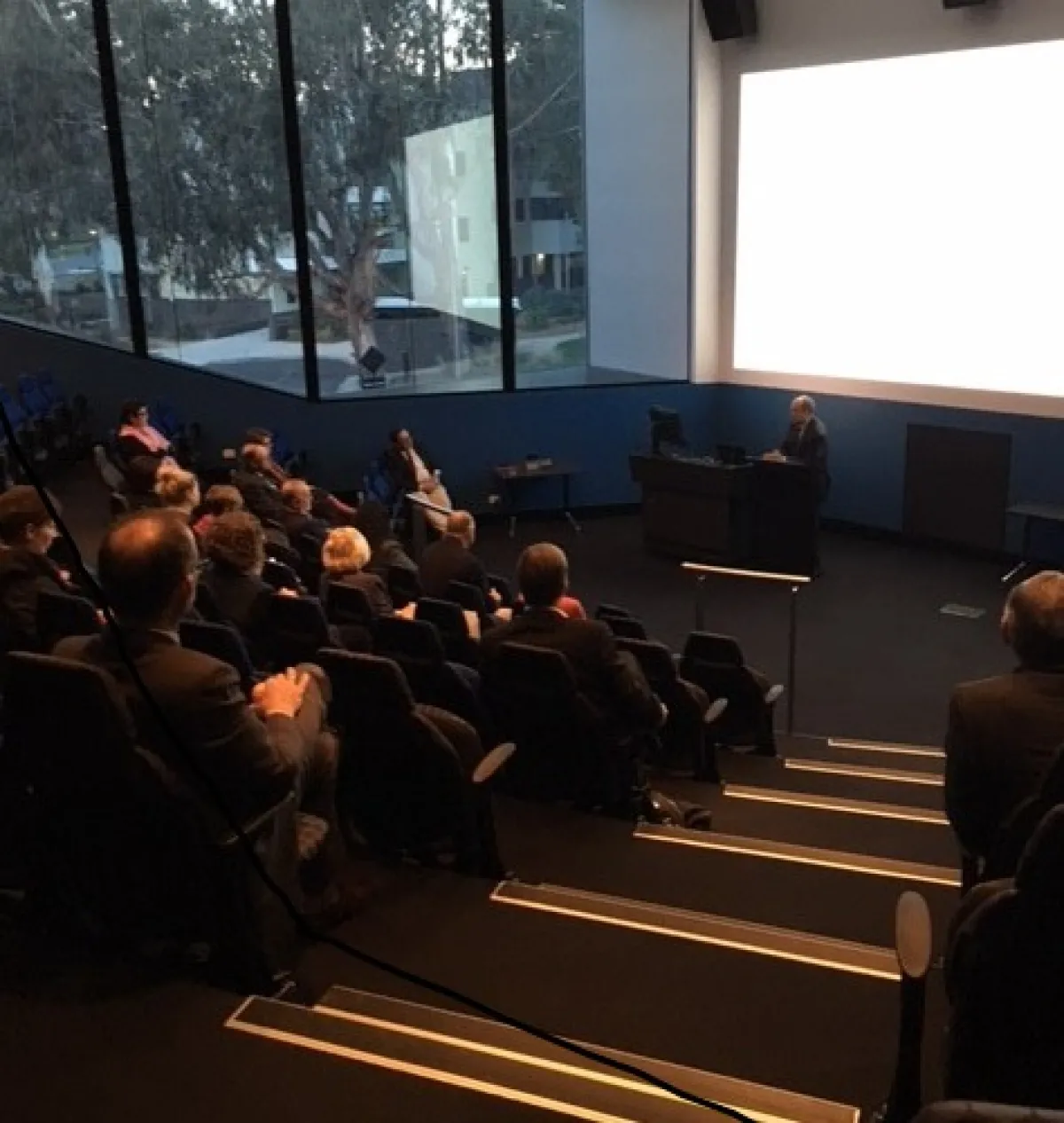 Professor Luis Salvador-Carulla's welcome.