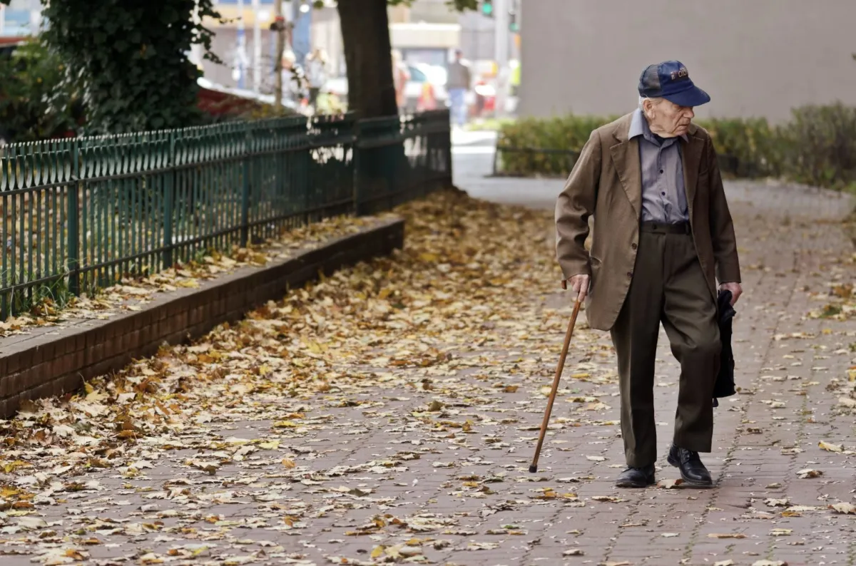 An elderly man with a cane walks on a leaf-covered sidewalk beside a green fence.