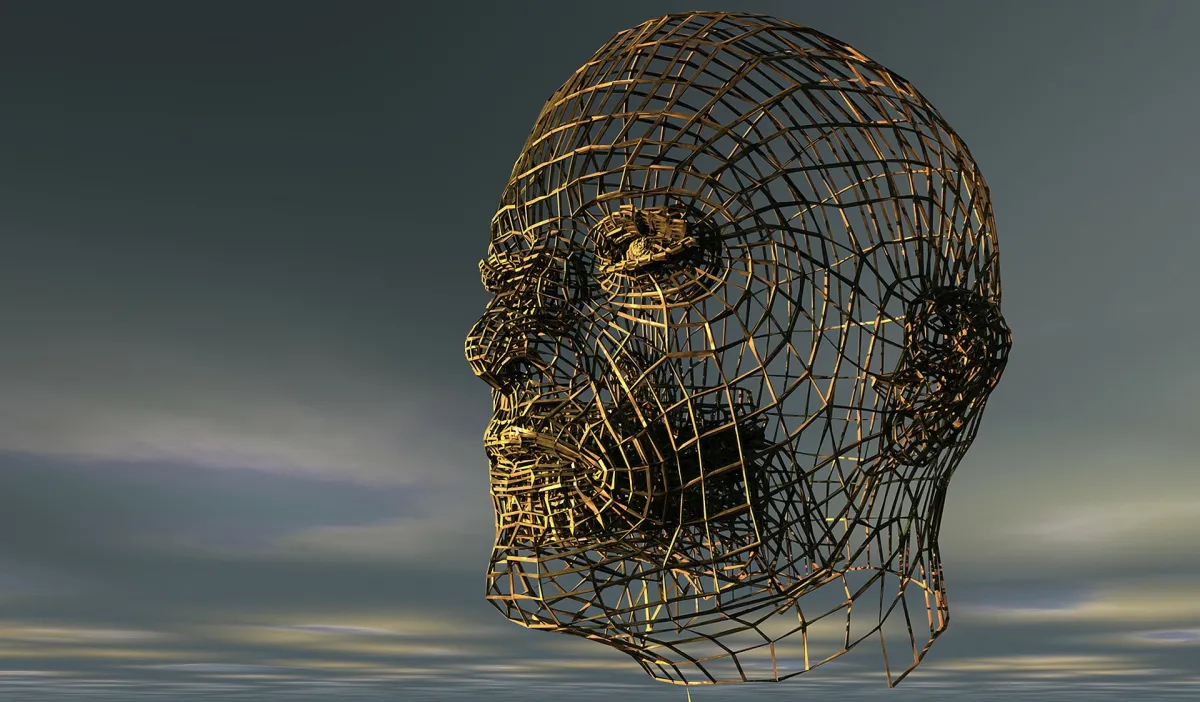 A digital image of a 3D wireframe model of a human head against a soft, cloudy sky.