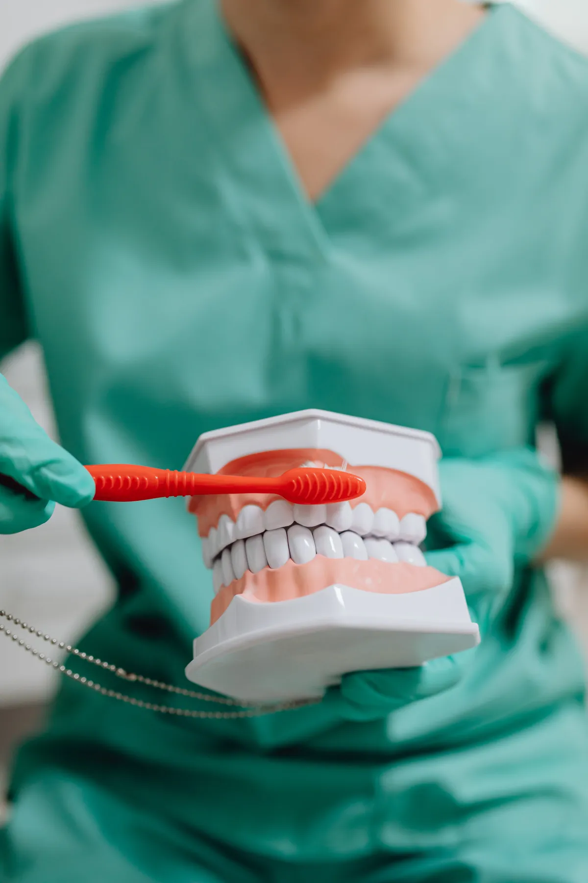 A dental professional demonstrating proper brushing technique using a large model of human teeth and a toothbrush.