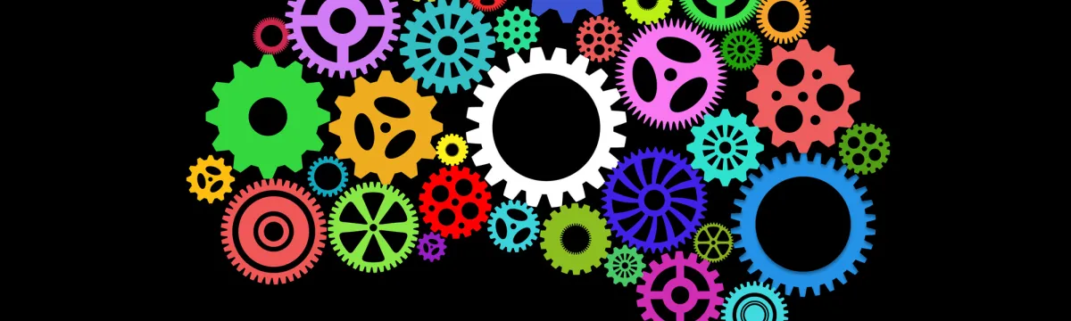 human brain shape and gears