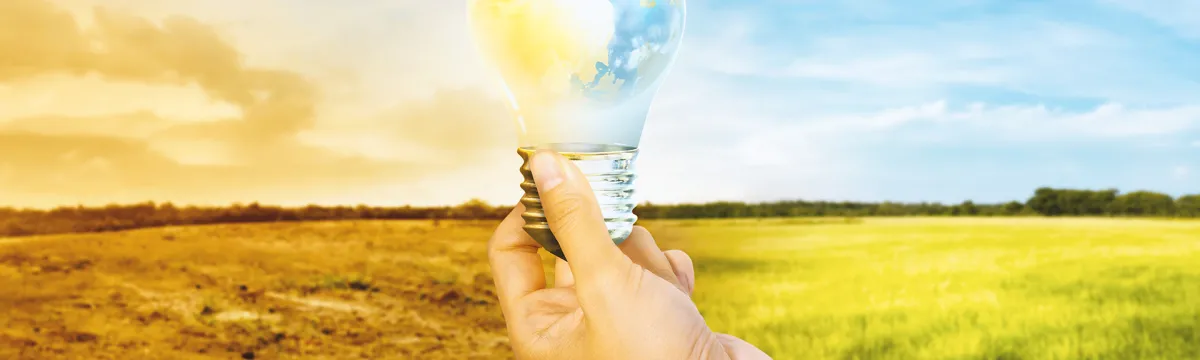 Environmental Health