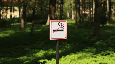 A prominent No Smoking Sign amidst the lush greenery