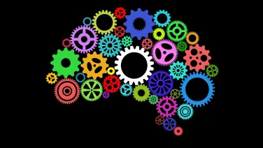 human brain shape and gears