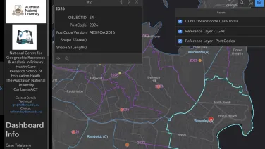 Screen shot the COVID19 interactive dashboard
