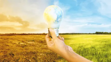 Environmental Health