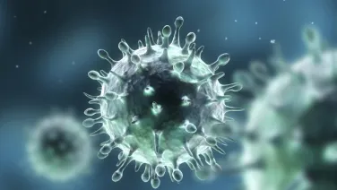 Infectious Diseases and Modelling group at the National Centre for Epidemiology and Population Health