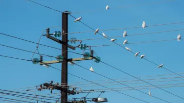 Electricity wires